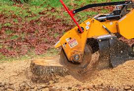 Best Fruit Tree Pruning  in Waynesboro, VA