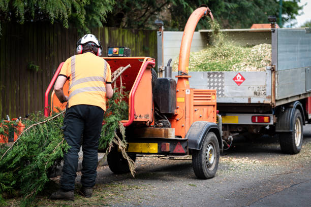 Best Commercial Tree Services  in Waynesboro, VA