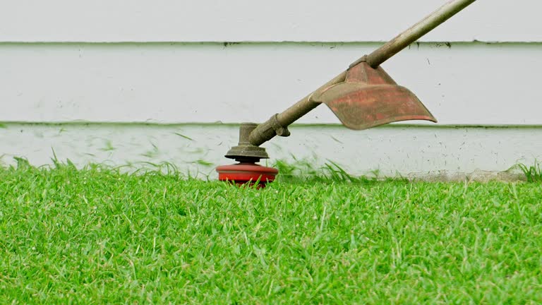 Best Hazardous Tree Removal  in Waynesboro, VA