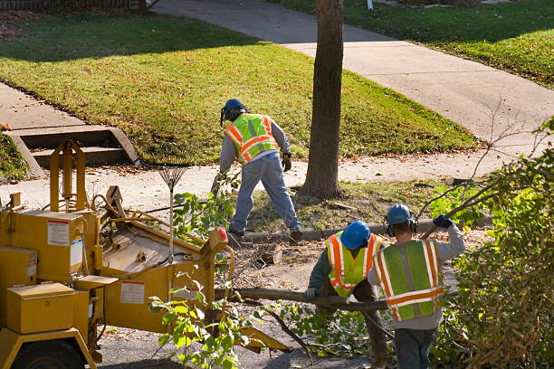 Best Lawn Watering Services  in Waynesboro, VA